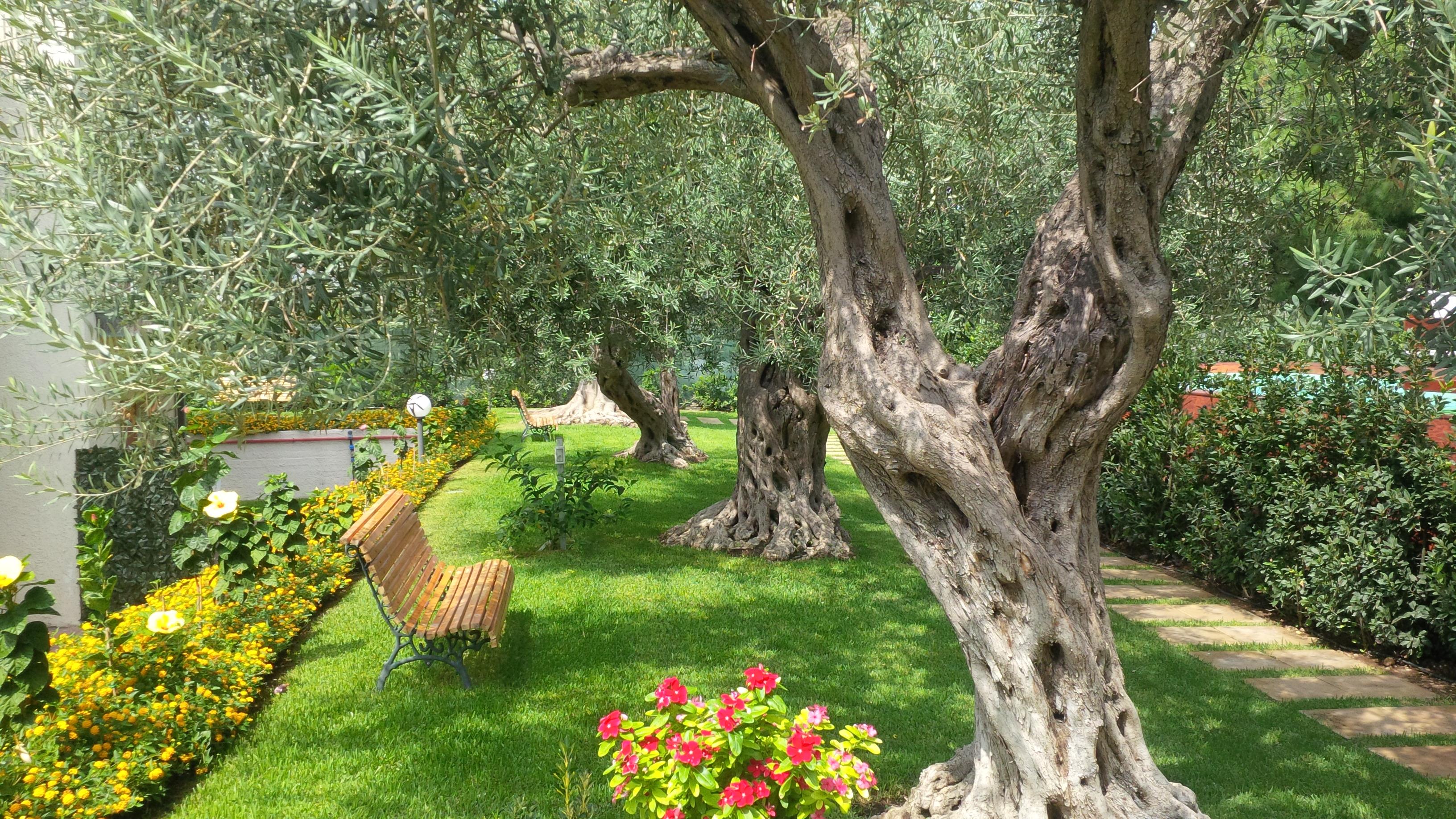 Villa Collina Giardini Naxos Exterior photo
